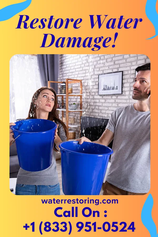 water restoration Prestige Extraction Authority Windber