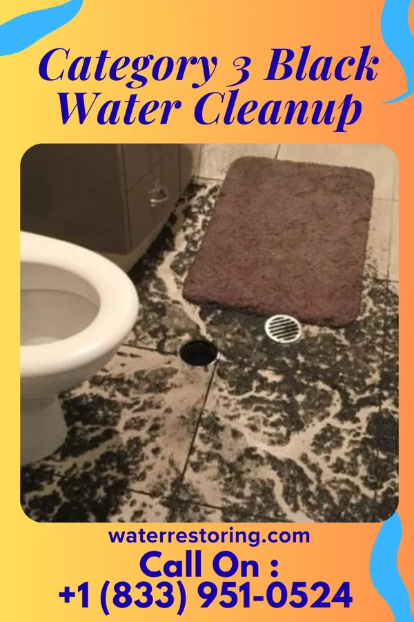 Category 3 Black Water Cleanup in Windber, PA