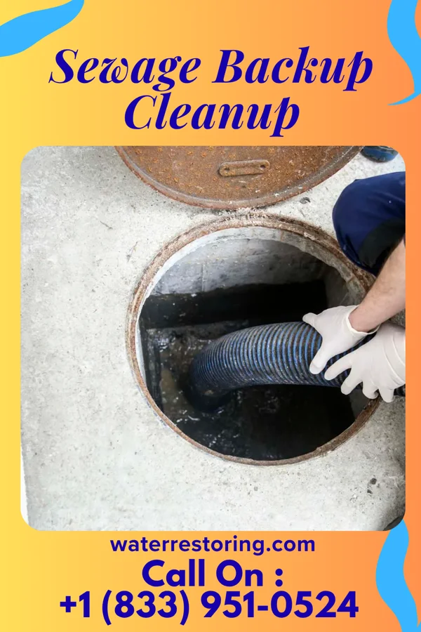 Sewage Backup Cleanup in Windber, PA
