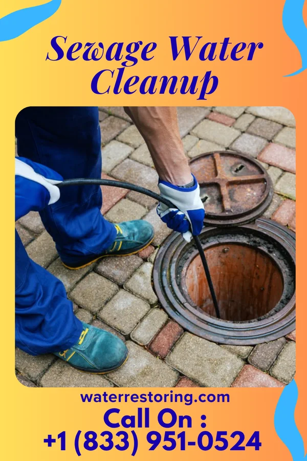 Sewage Water Cleanup in Windber, PA