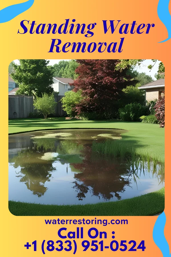 Standing Water Removal in Windber, PA